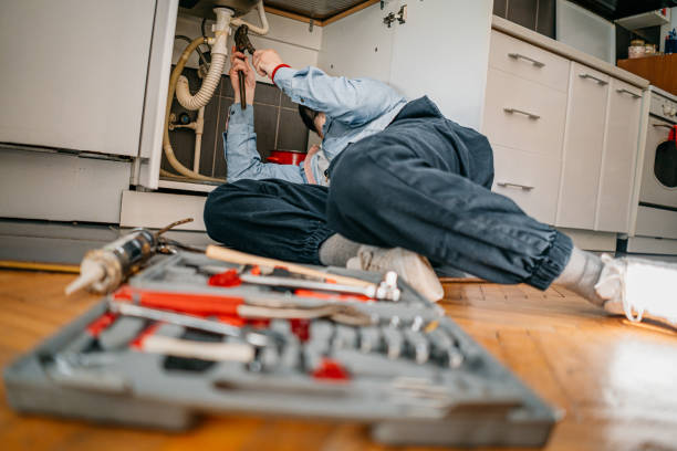 Best Water Softener Installation  in Ruskin, FL