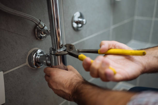 Best Residential Plumbing Services  in Ruskin, FL