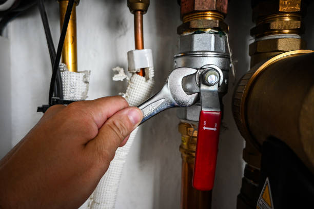 Best Toilet Repair Services  in Ruskin, FL
